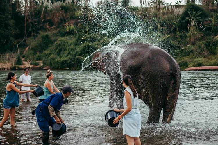 réussir vacances en famille laos rencontre éléphants